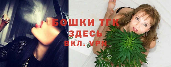 ГАЛЛЮЦИНОГЕННЫЕ ГРИБЫ Арсеньев