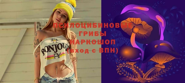 ГАЛЛЮЦИНОГЕННЫЕ ГРИБЫ Арсеньев