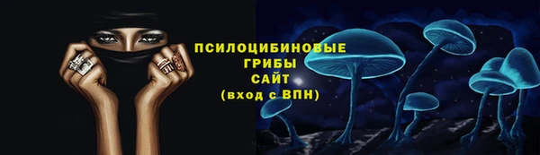 PSILOCYBIN Алзамай