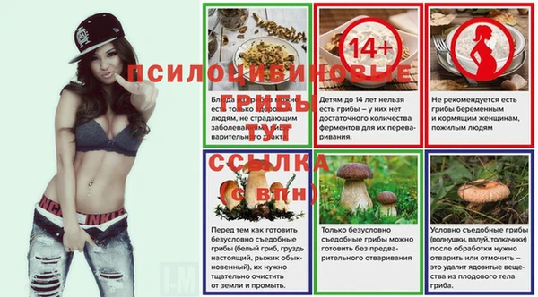 ГАЛЛЮЦИНОГЕННЫЕ ГРИБЫ Арсеньев