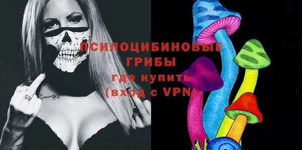ГАЛЛЮЦИНОГЕННЫЕ ГРИБЫ Арсеньев